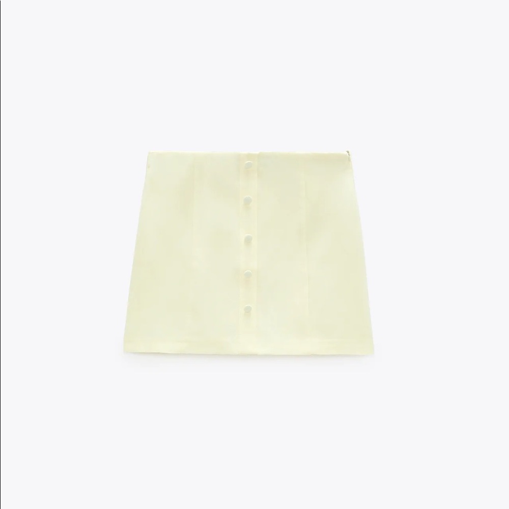 Zara skirt